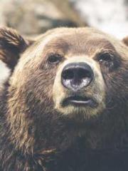 My pets are all amaz