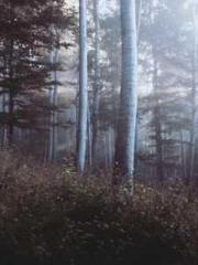 The Rough Man Hunter