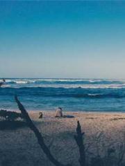 The Beloved Physicia