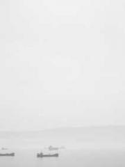 Transmigration: Feel