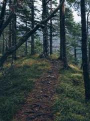 lt;Diga: From Jetton